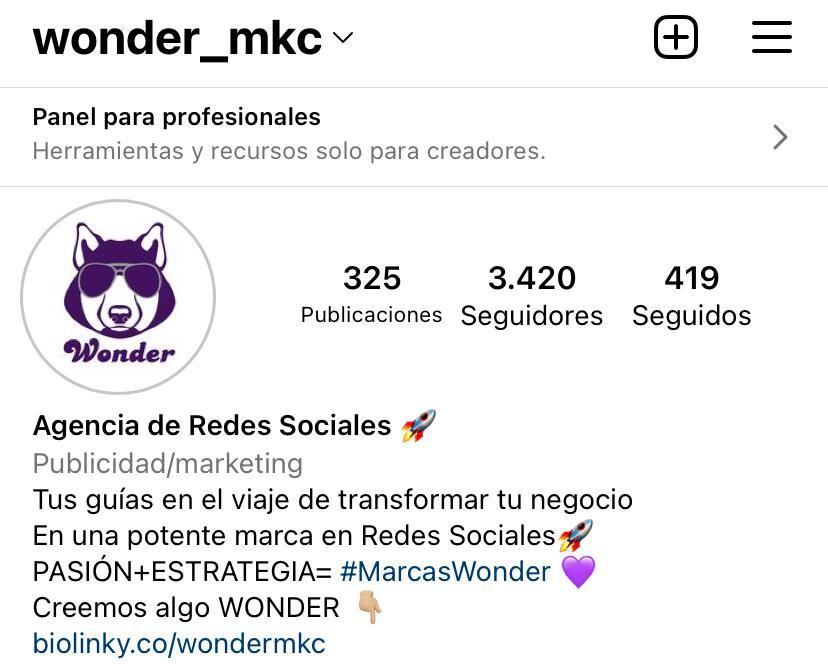 tipos de perfil instagram - Wonder